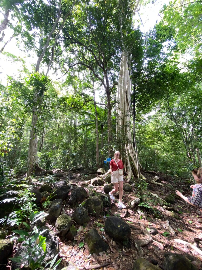 Jungle trek in Cat Tien National Park