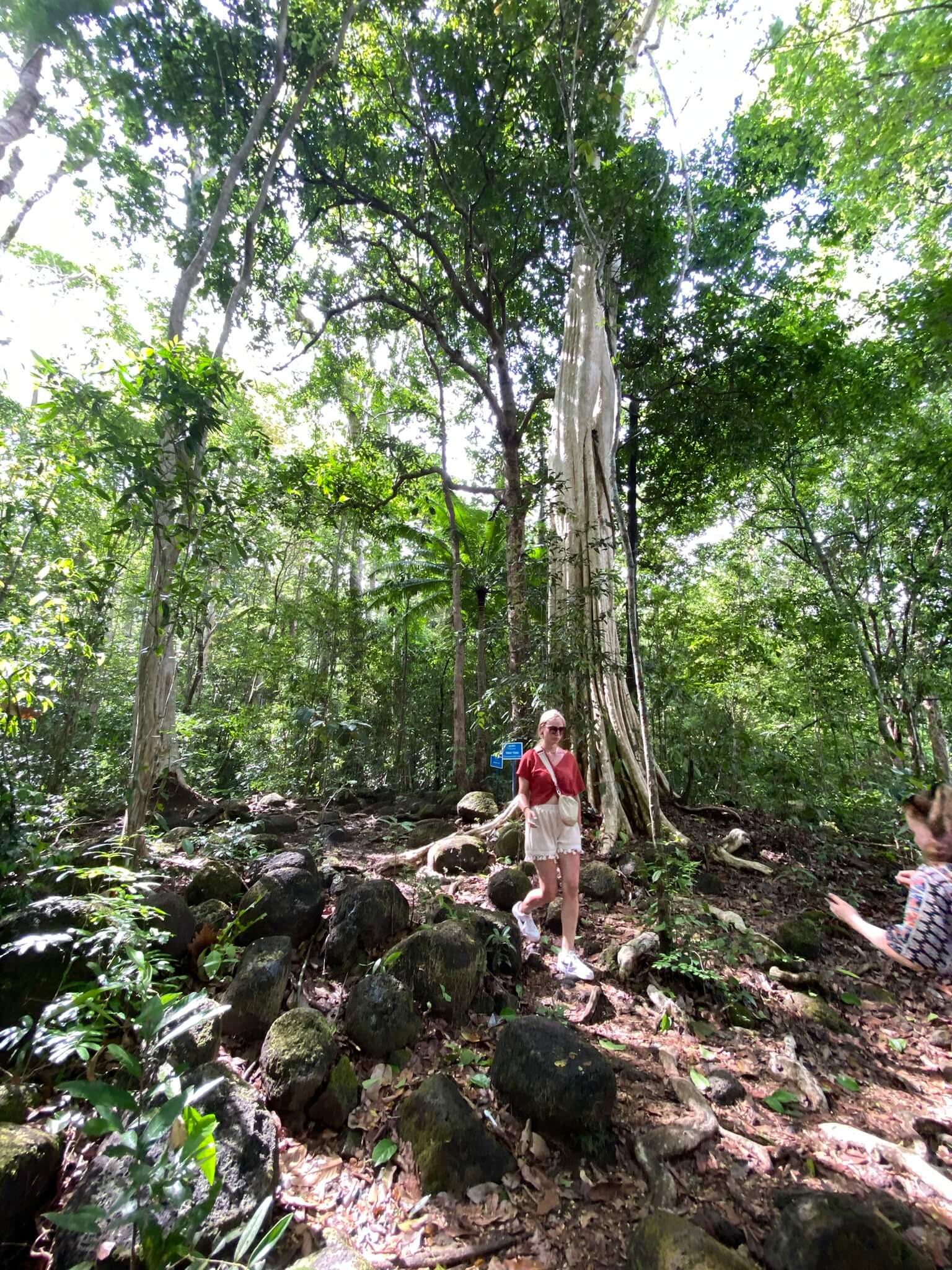 Cat Tien National Park tour from Ho Chi Minh City