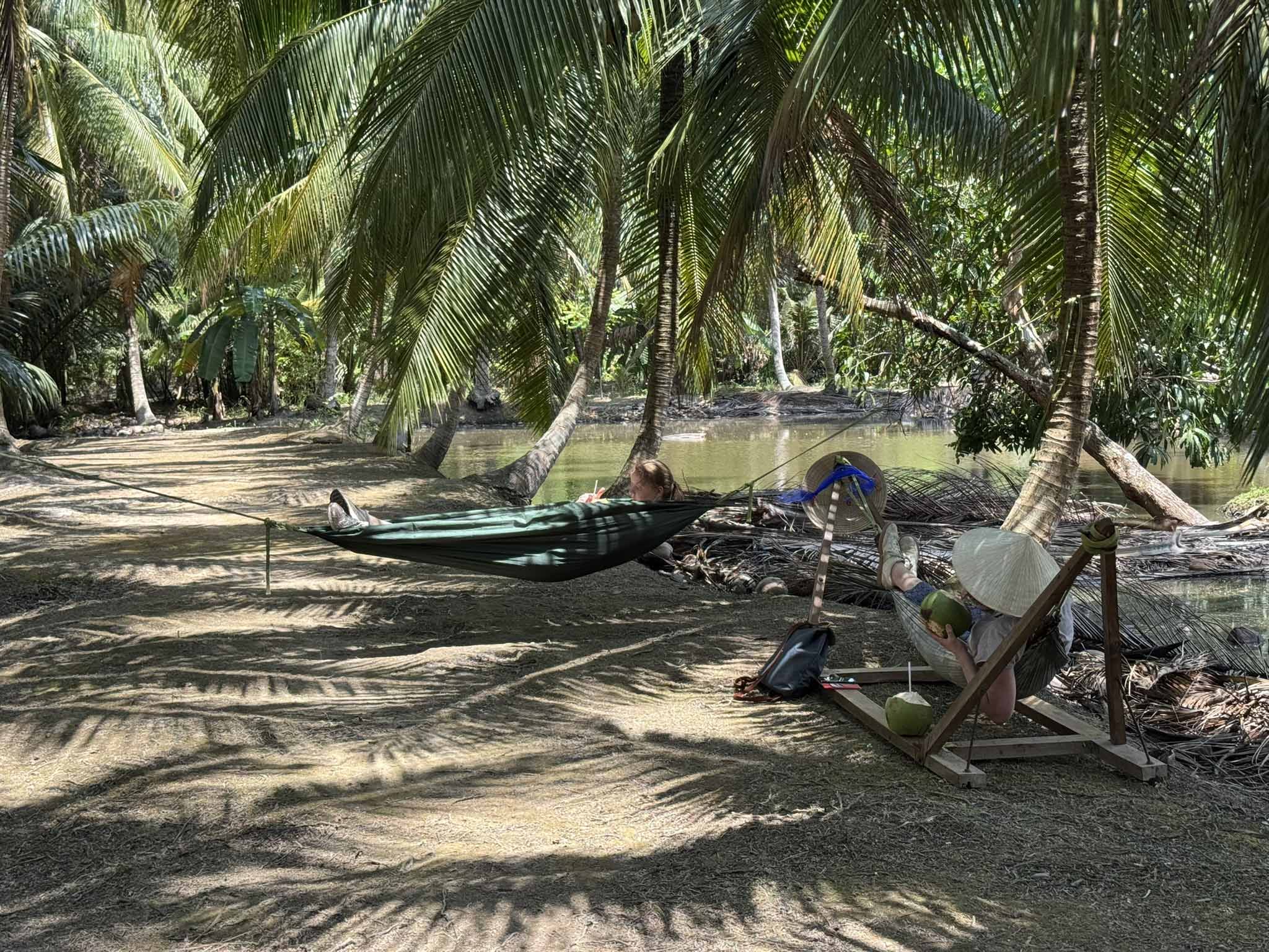 Mekong Delta culture - hammocks in a coconut garden