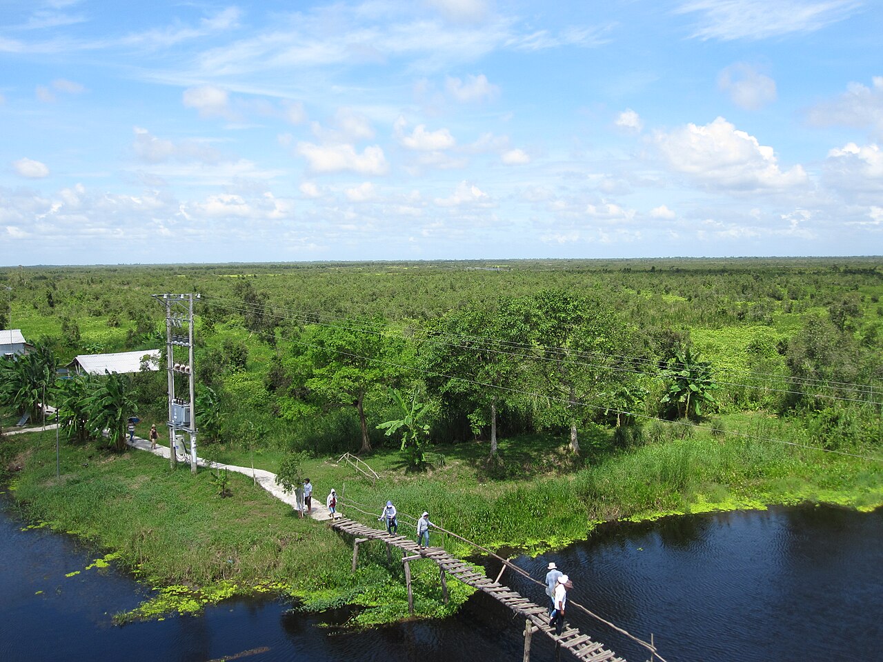 U Minh Thuong melaleuca peat swamp forest, a Ramsar wetland