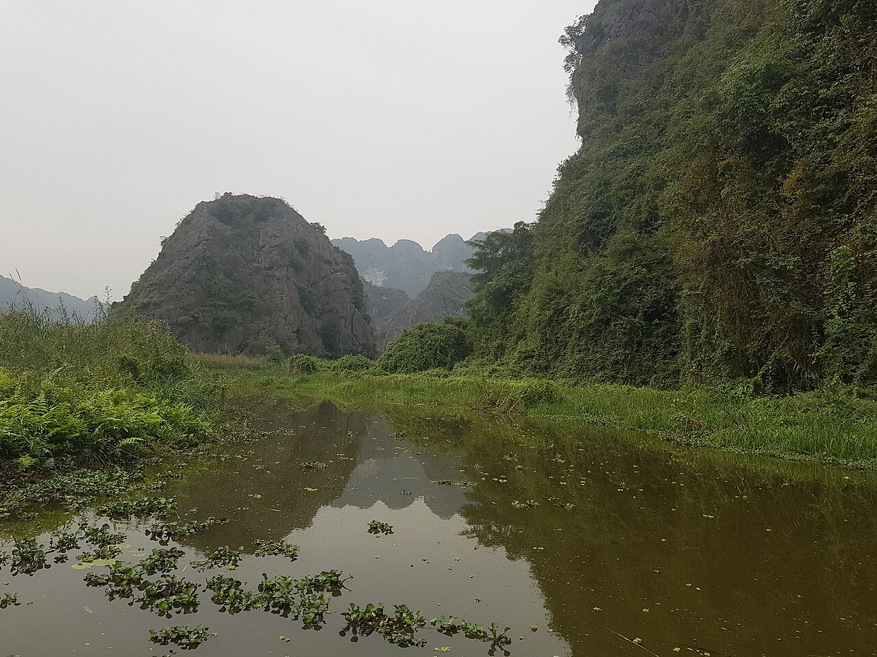 Van Long wetland nature reserve, Ramsar site in Ninh Binh